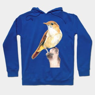 Nightingale Songbird Hoodie